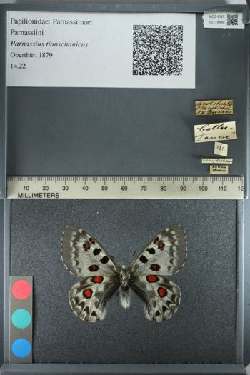Media type: image;   Entomology 174848